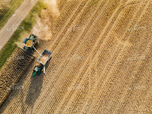 Overhead of Corn Harvest 115385