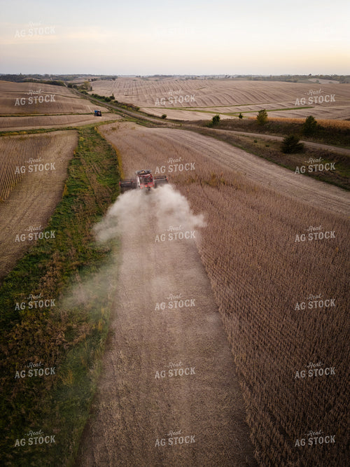 Soybean Harvest 67948