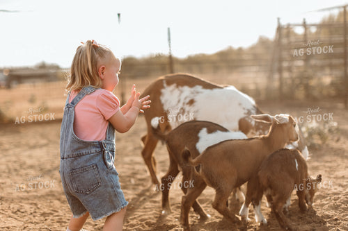 Farm Kid with Goats 205004
