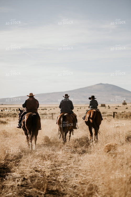 Ranchers on Horses 54036