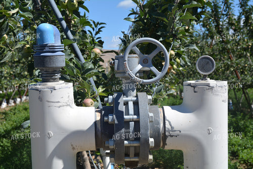 Irrigation Valve 198015