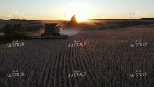 Aerial Drone of Soybean Harvest at Sunset in Field with Terraces 7371