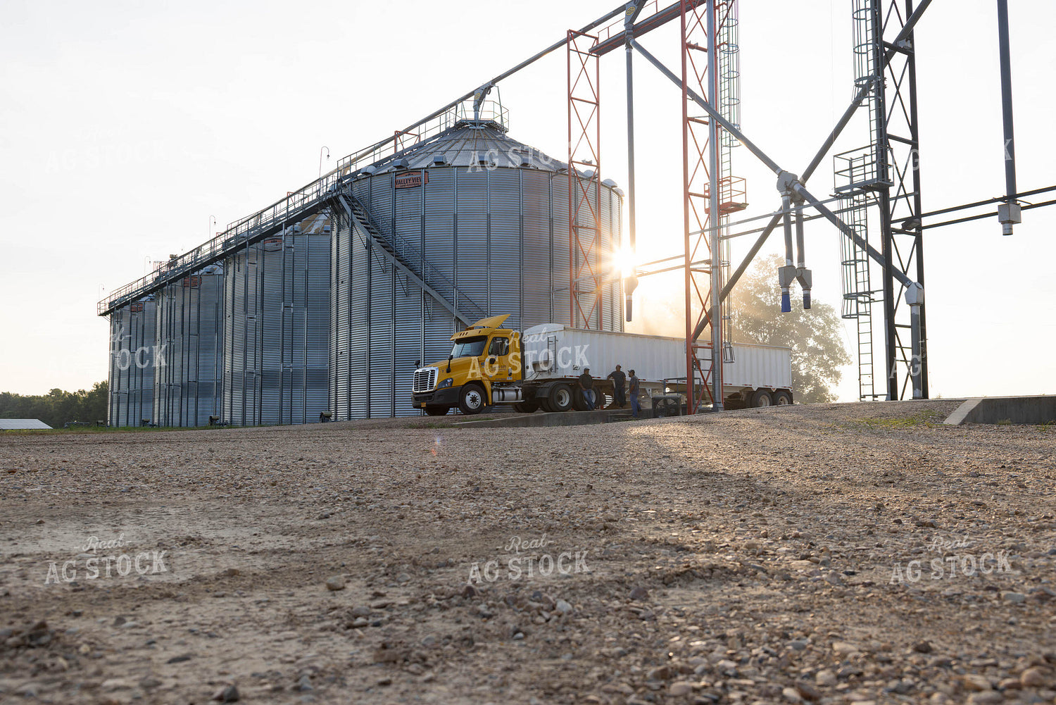 Delivering Grain 79712