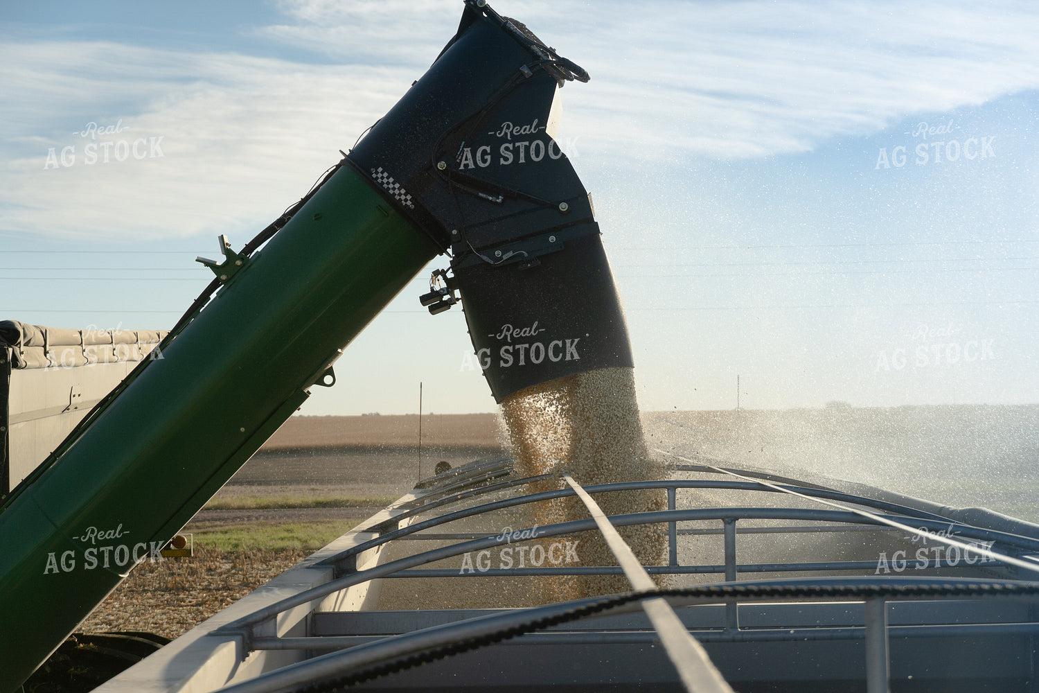 Unloading White Corn onto Semi 65534