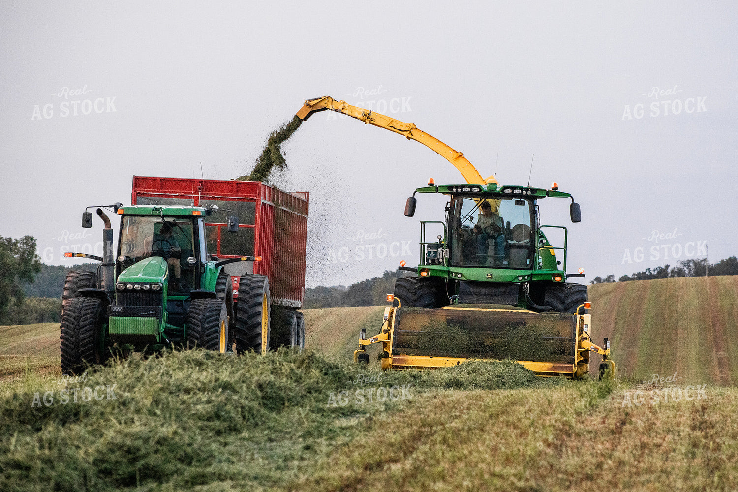 Haylage Harvest 272035