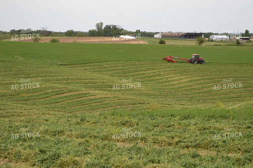 Mowing Hay 206034