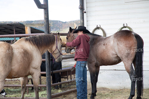 Ranchers Tacking Horse 117155