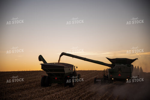 Corn Harvest at Dusk 76305