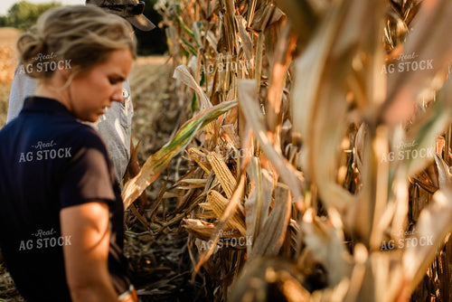 Farmer and Agronomist Talking in Field 8285
