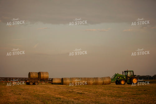 Tractor Loading Hay Bales onto Trailer Overcast Sky 5524