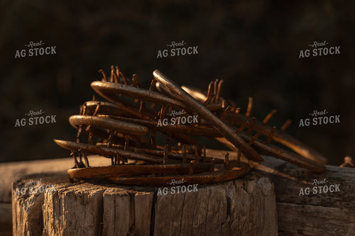 Horseshoes 58297