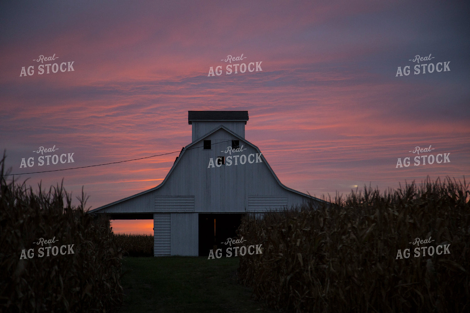 Barn in Sunset 93006