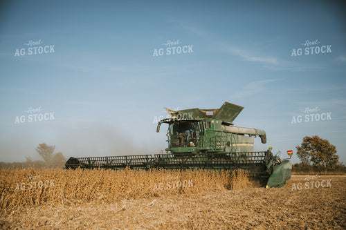 Soybean Harvest 7187