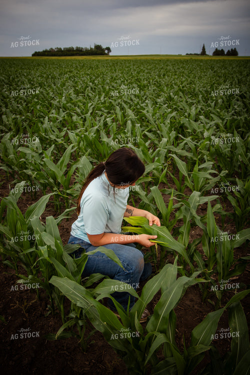 Female Farmer Tissue Sampling 67725