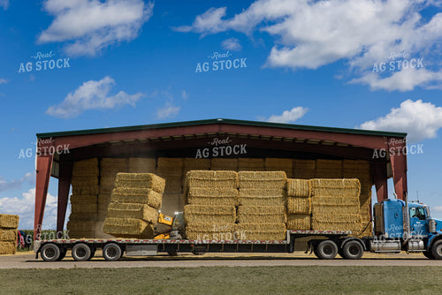 Stacking Wheat Straw Bales 152608