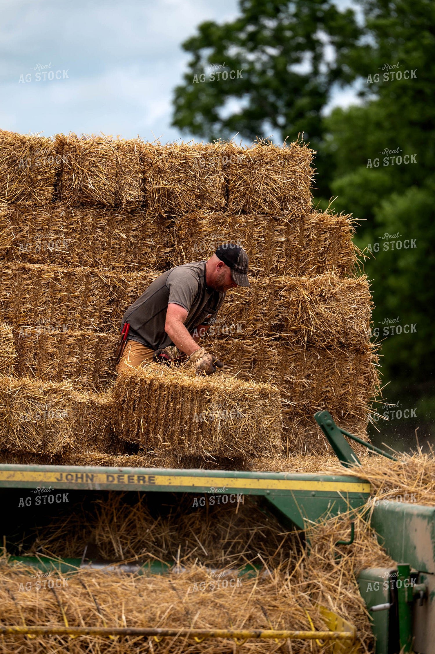 Baling Square Hay Bales 115810