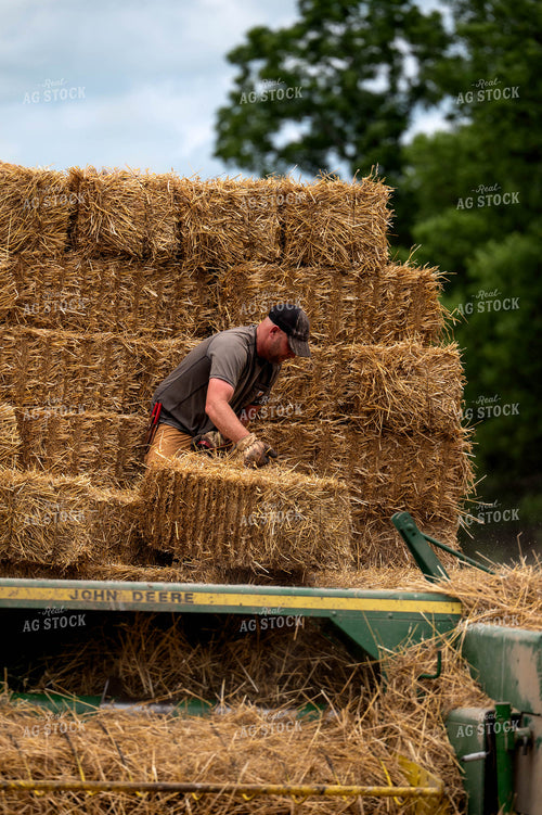 Baling Square Hay Bales 115810