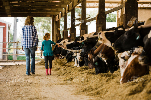 Dairy 2697