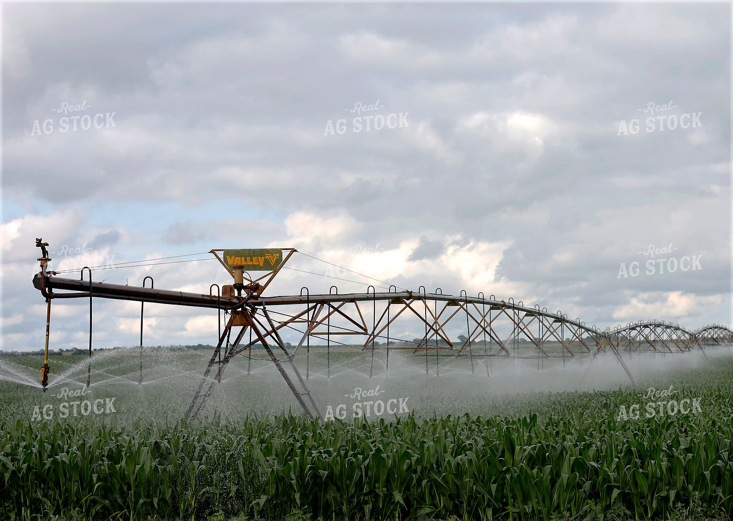 Irrigating Corn Field 141613