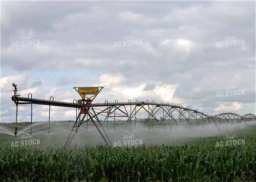 Irrigating Corn Field 141613