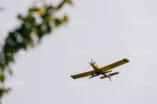 Crop Duster 178076