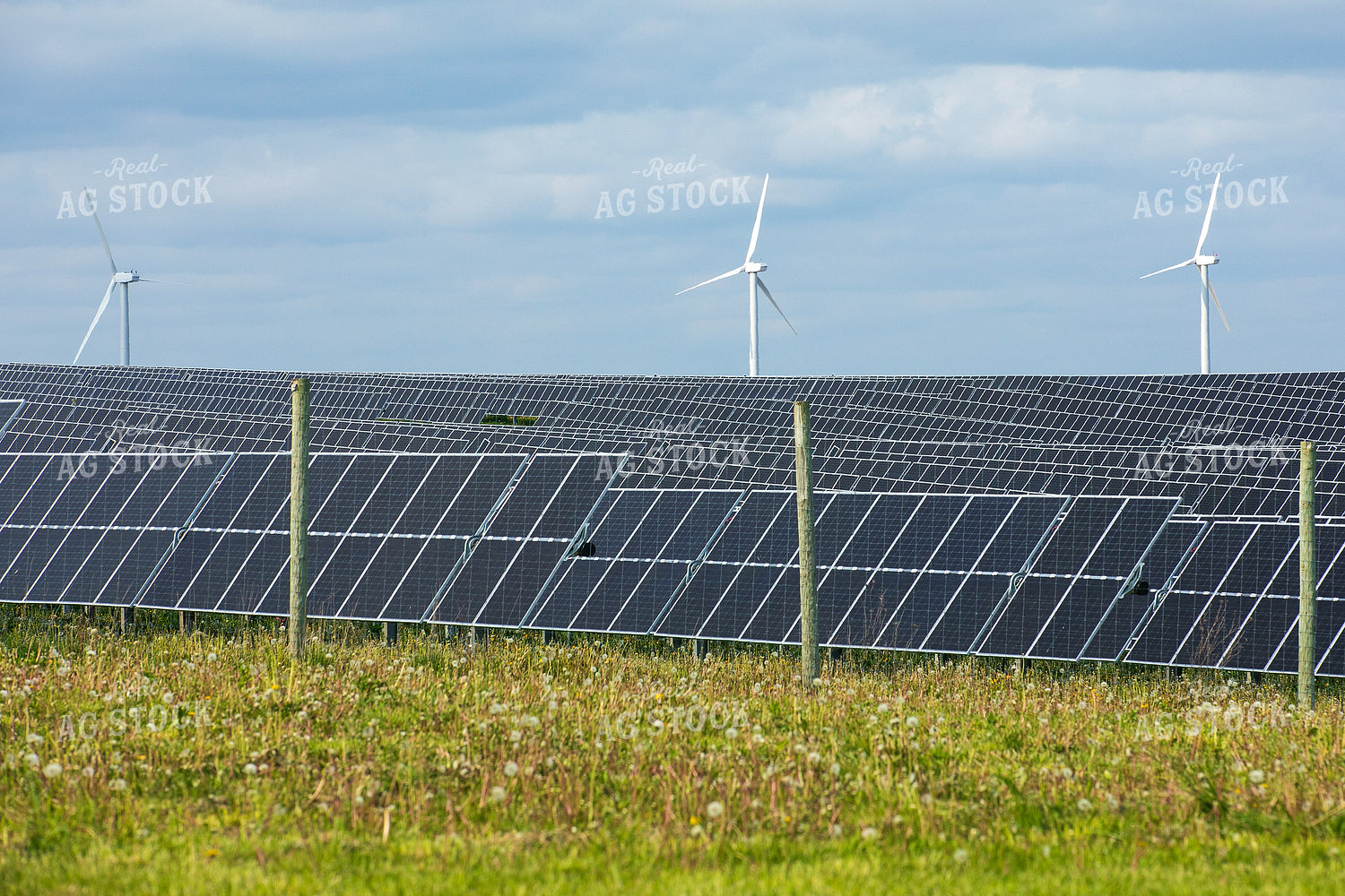 Solar Panels 145022