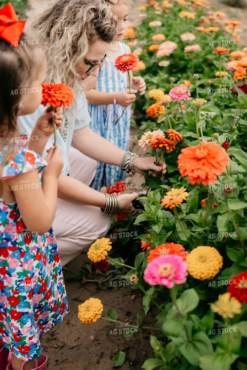 Picking Flowers 218062