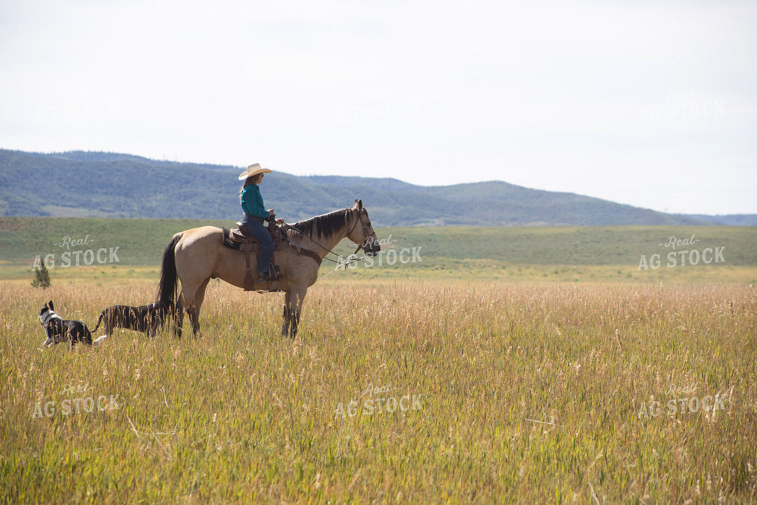 Cowgirl on Horseback 117369