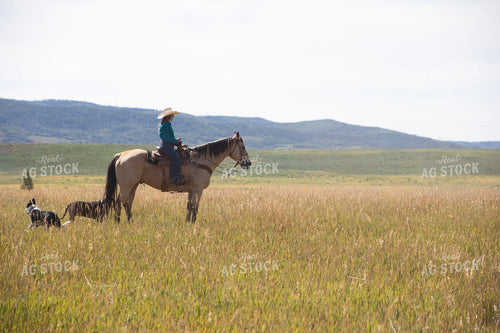 Cowgirl on Horseback 117369