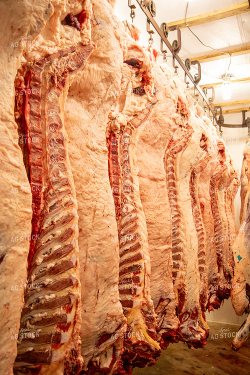 Processing Meat 67510