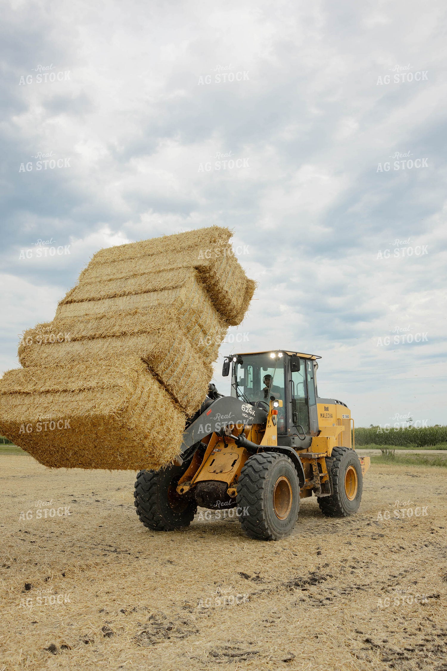Loading Wheat Straw Bales 296078