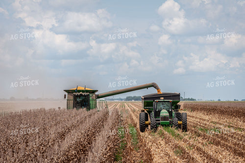 Combine Unloading into Grain Cart 59009