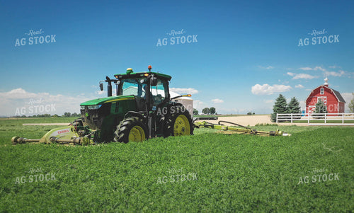 Cutting Alfalfa Hay 56024