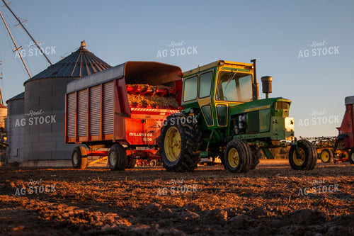 Harvesting Corn Silage 157045