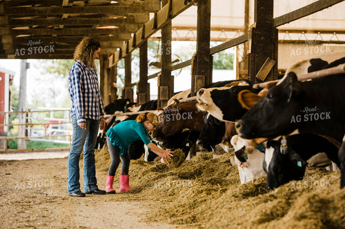 Dairy 2701