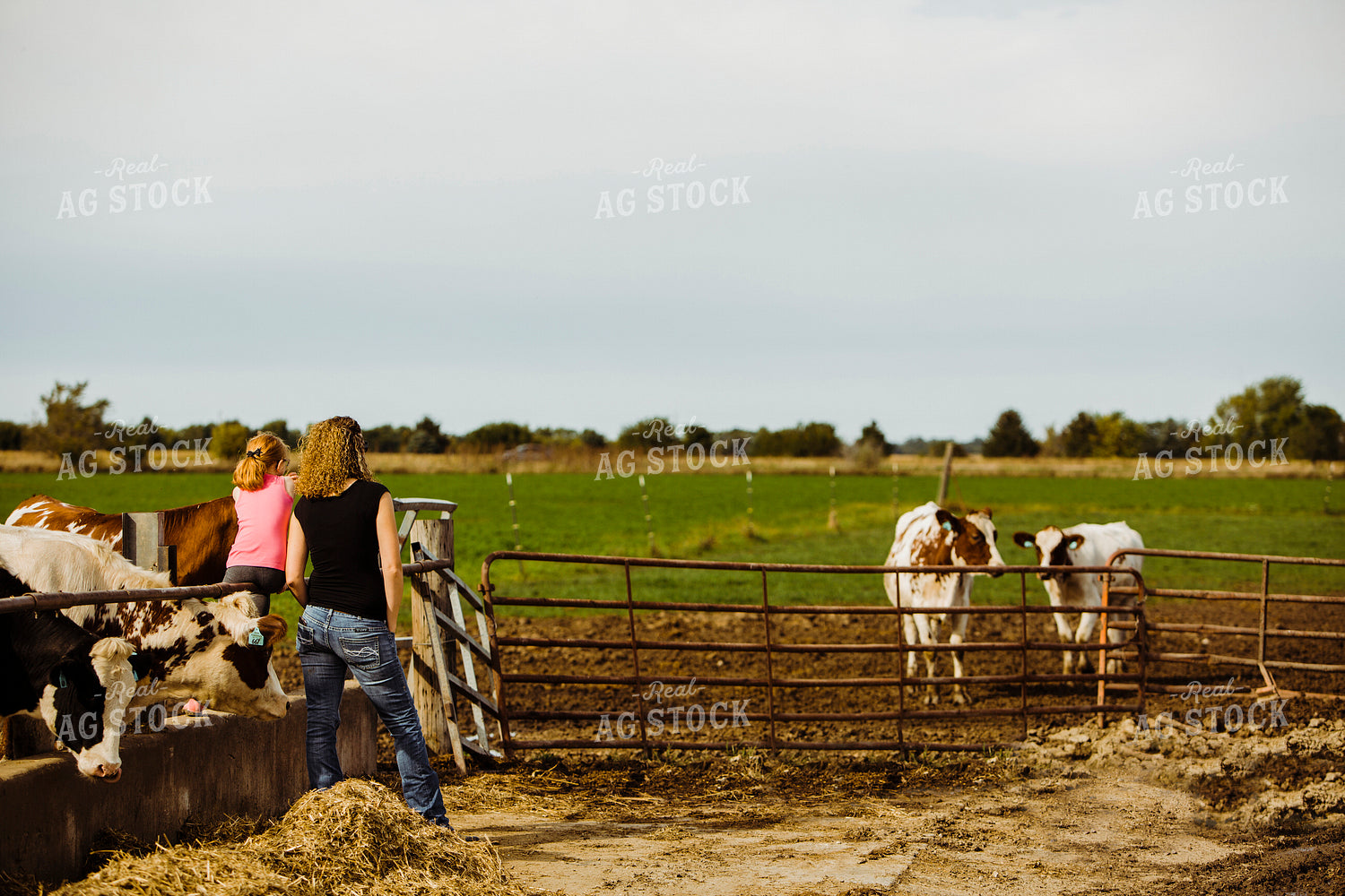 Dairy 2710