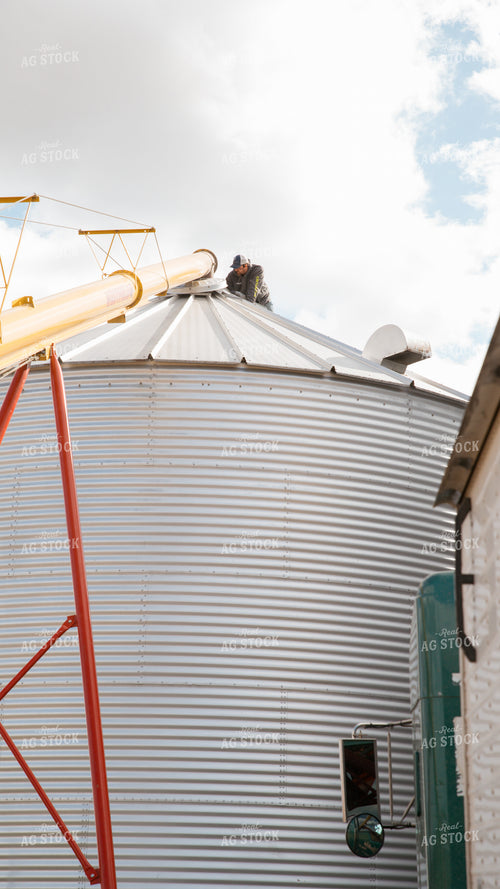 Farmer Loading Bin 26270