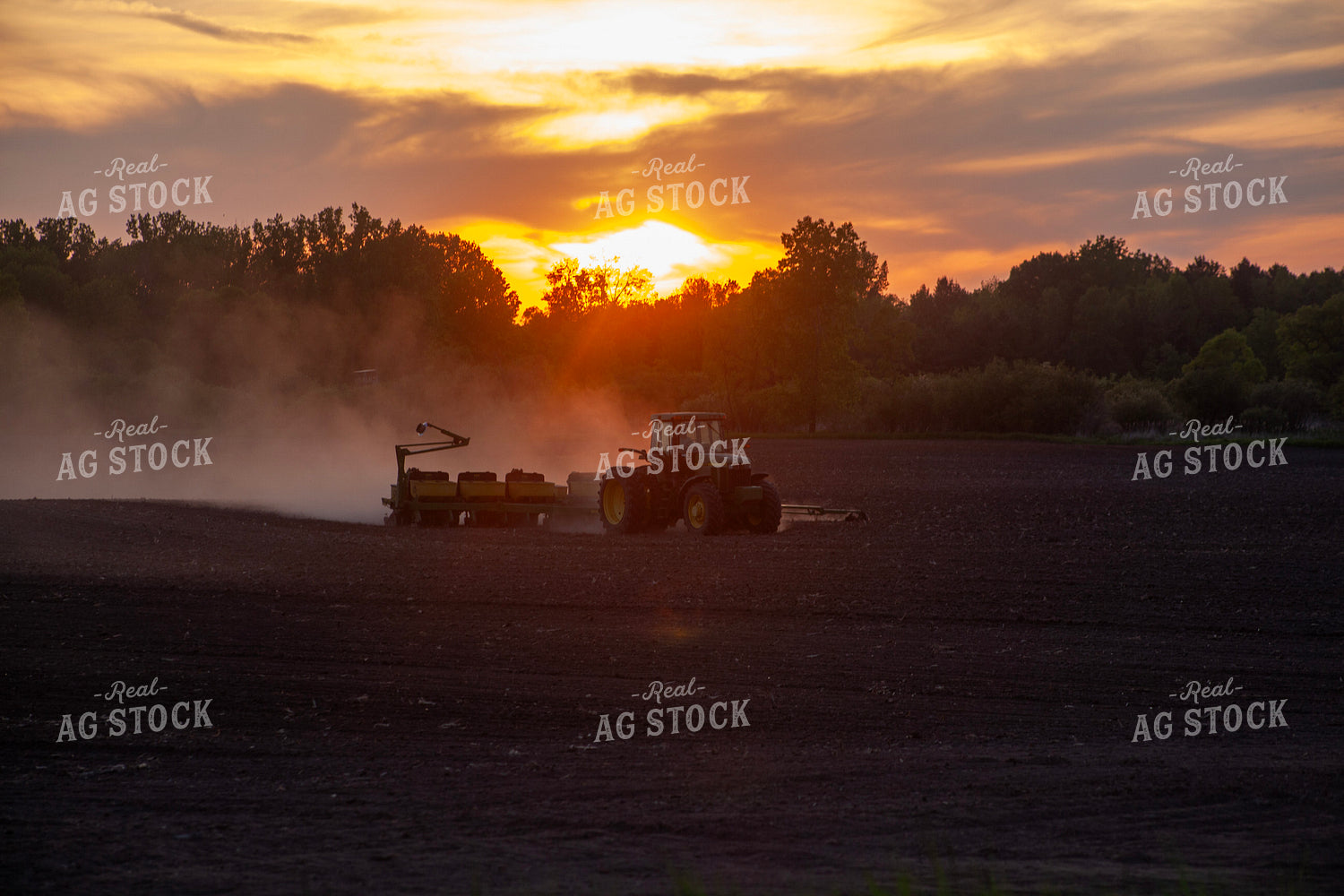 Planting at Sunset 132121