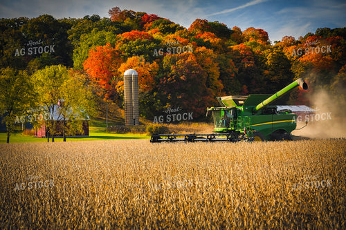 Soybean Harvest 153017