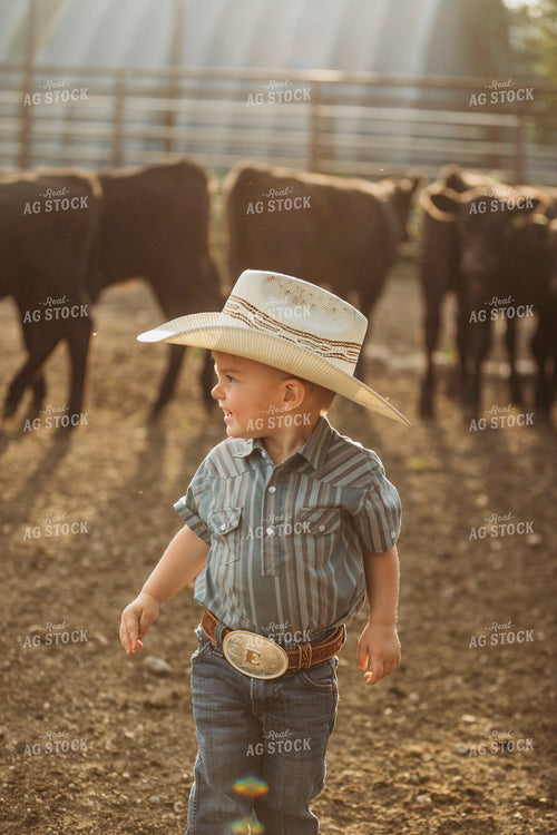 Ranch Kid Watching Cattle 285065