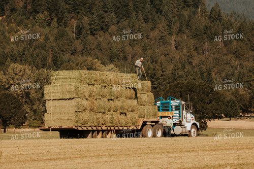 Farmer Loading Hay Bales 66096