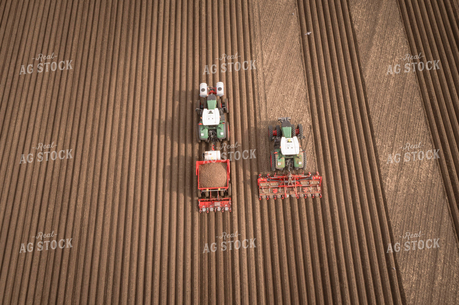 Planting Potatoes 135058