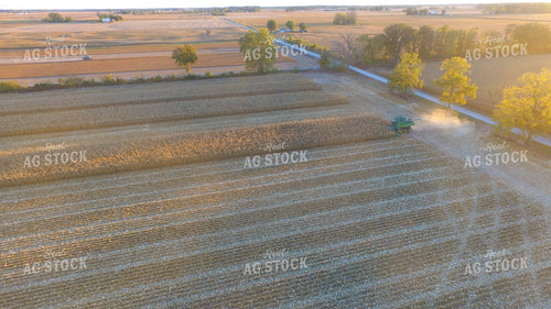 Corn Harvest 85041