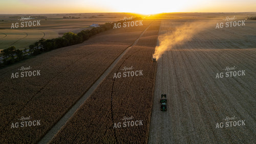 Aerial Corn Harvest 65041