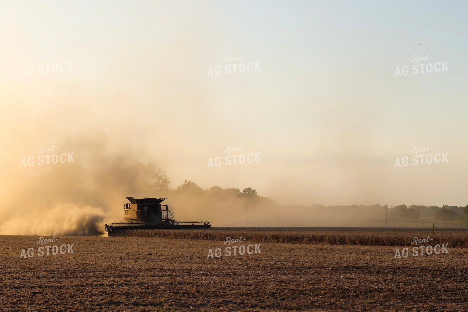 Soybean Harvest 109135