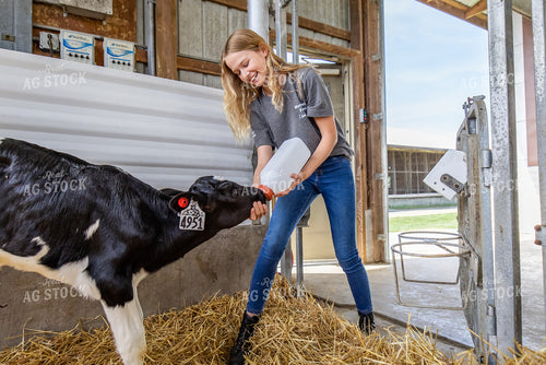 Farm Kid Bottle Feeding Calf 270375