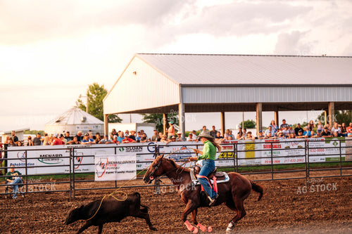 Rodeo 115790