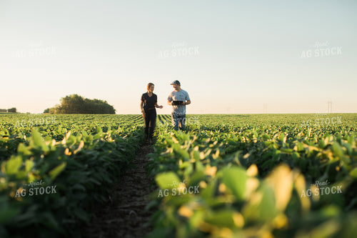 Agronomist and Farmer Scouting Soybean Field 6118