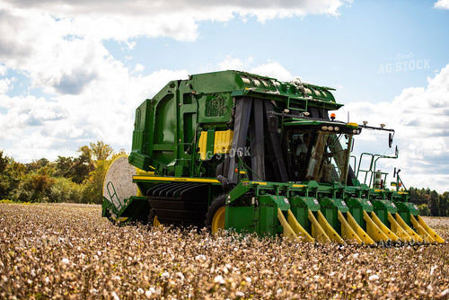 Cotton Harvest 136137