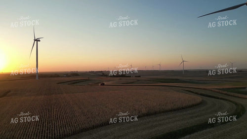 Aerial of Corn Harvest 268057